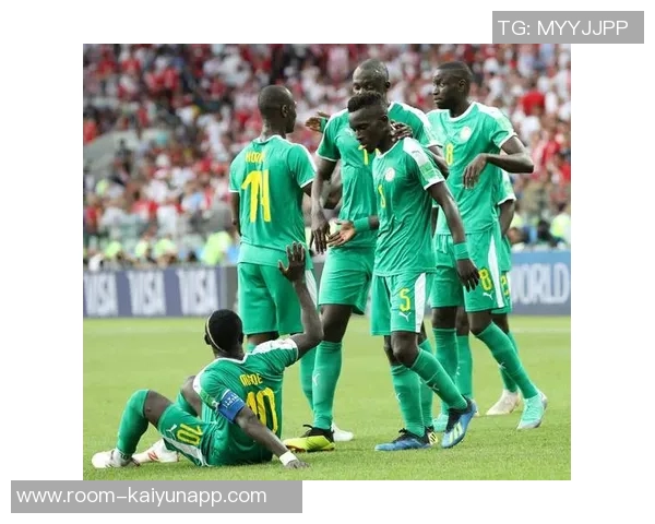 非洲杯决赛冲突引发罢赛非洲足联强烈谴责并启动录像审查